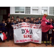 DONAR SANGRE, TAMBIÉN SALVA VIDAS - Proyecto institucional (6to. grado A y B)